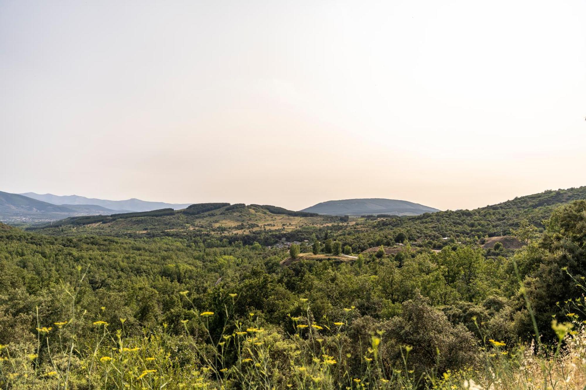 Casa de turismo rural Sardom2 Daire Bembibre  Dış mekan fotoğraf